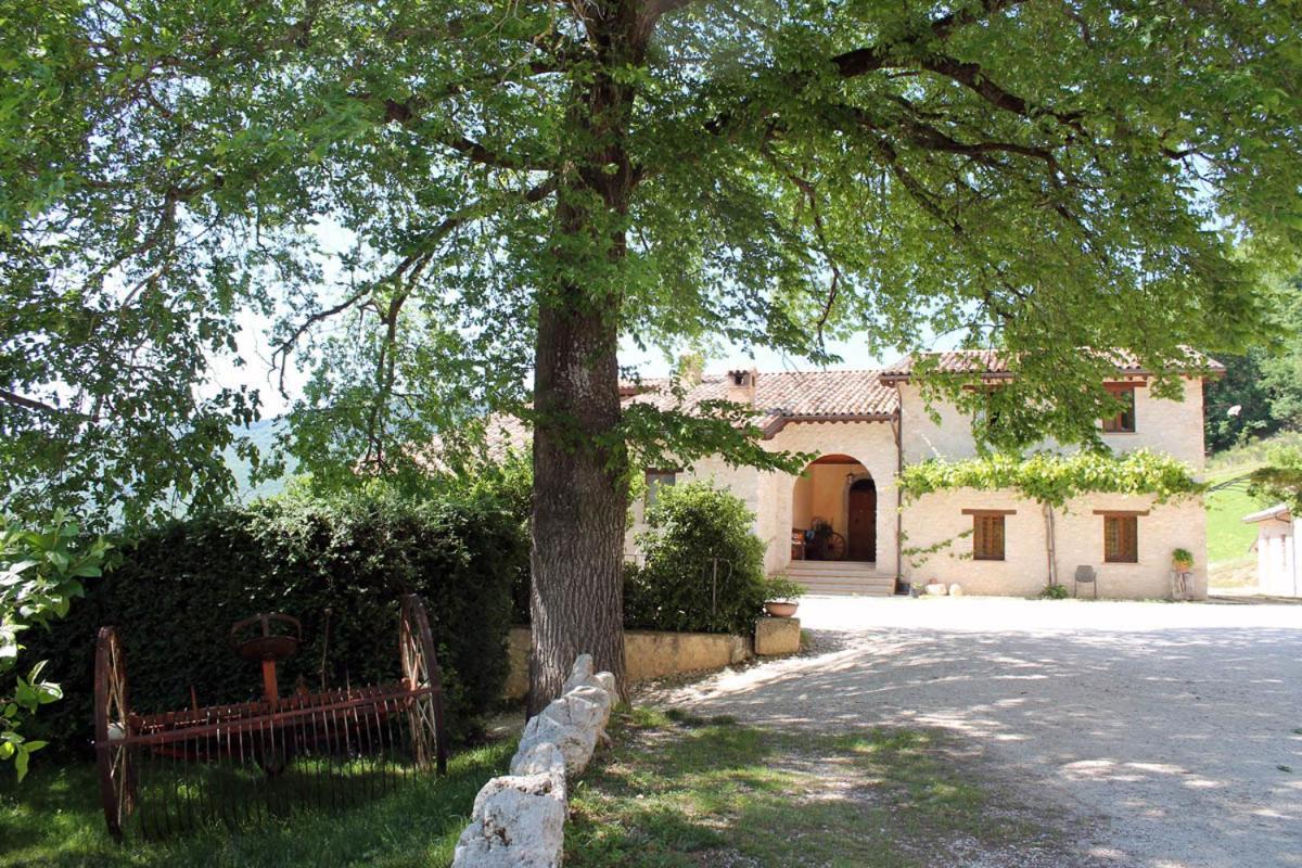 Agriturismo Il Casale Degli Amici Norcia Exterior photo
